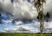  TheShy迎来十赛季高光表现，G2球迷沸腾！